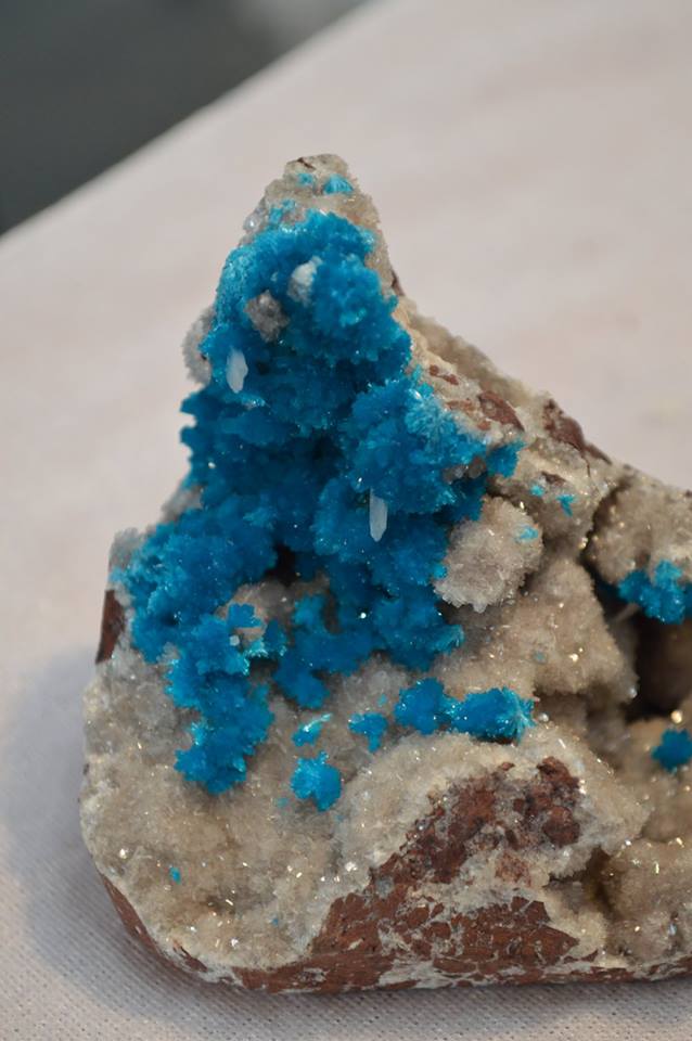 verona mineral show 2018 eventi verona fiere fiera di verona cosa fare a verona eventi veneto cosa fare in veneto magazine verona ilaria rebecchi kermesse esposizione verona evento in veneto