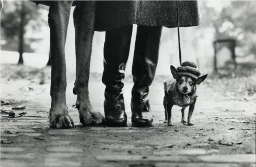 elliot erwitt mostra treviso eventi veneto magazine treviso cosa fare in veneto cosa fare a treviso notzie veneto ilaria rebecchi casa dei carraresi di treviso fotografia mostra treviso arte eventi in veneto 
