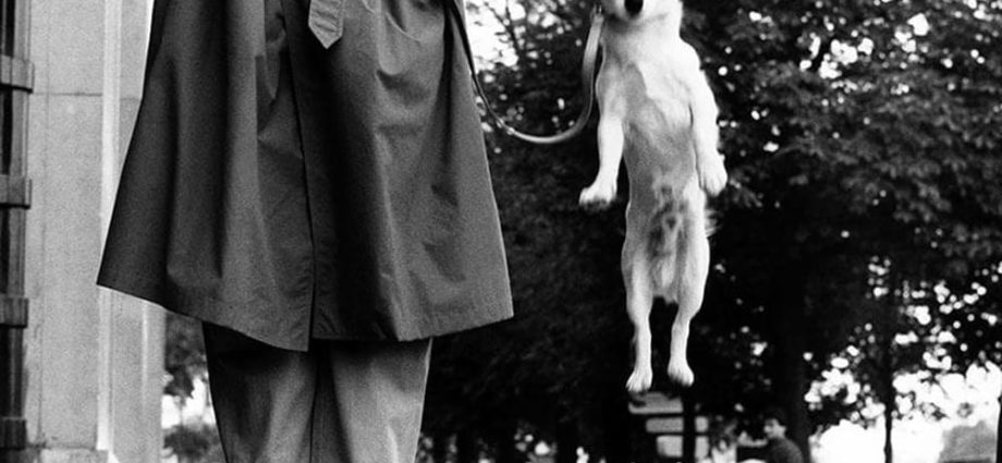 elliot erwitt mostra treviso eventi veneto magazine treviso cosa fare in veneto cosa fare a treviso notzie veneto ilaria rebecchi casa dei carraresi di treviso fotografia mostra treviso arte eventi in veneto