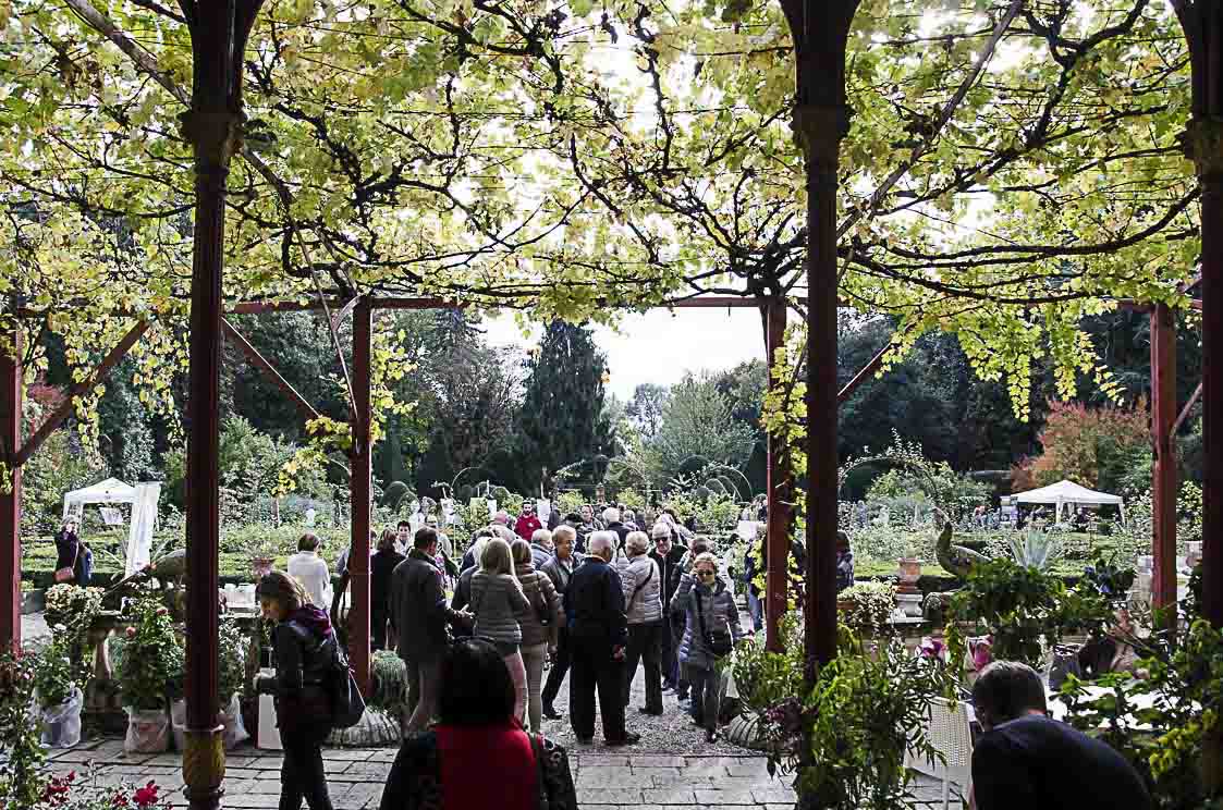 giardinity 2018 giardinity autunno 2018 cosa fare in veneto cosa fare a padova magazine veneto eventi padova villa pisani scalabrin green veneto green padova