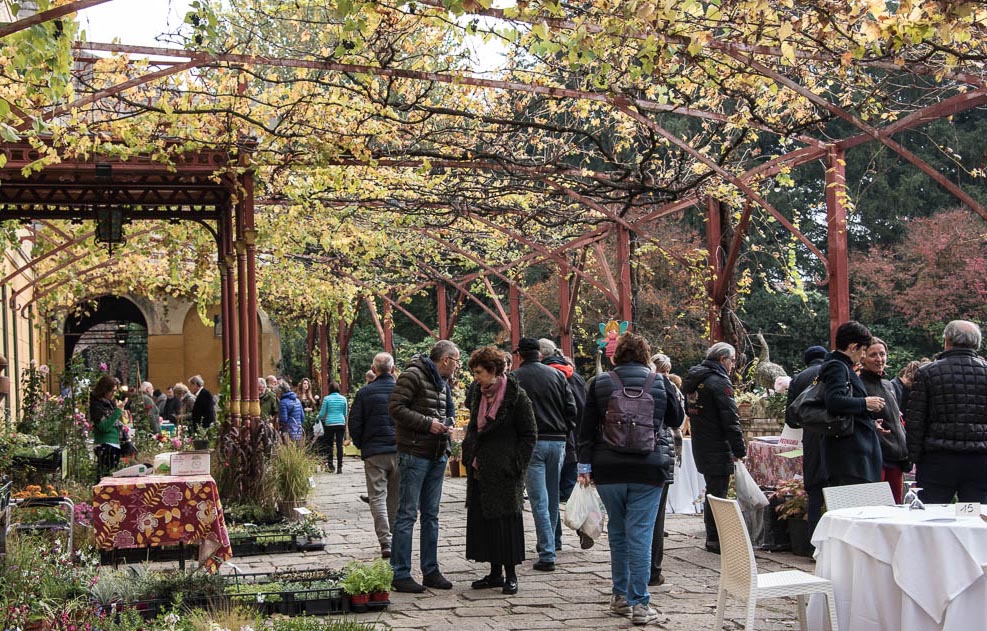 giardinity 2018 giardinity autunno 2018 cosa fare in veneto cosa fare a padova magazine veneto eventi padova villa pisani scalabrin green veneto green padova