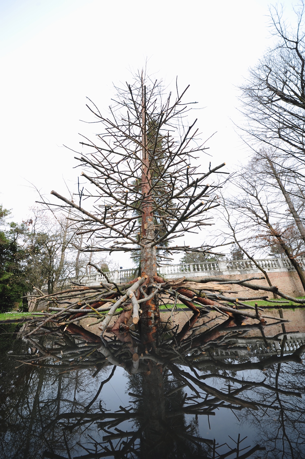 Cosa fare in veneto magazine Padova news veneti eventi a Padova donne veneto orto botanico di Padova installazione de Lucchi albero degli alberi