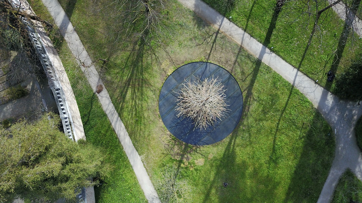 Cosa fare in veneto magazine Padova news veneti eventi a Padova donne veneto orto botanico di Padova installazione de Lucchi albero degli alberi