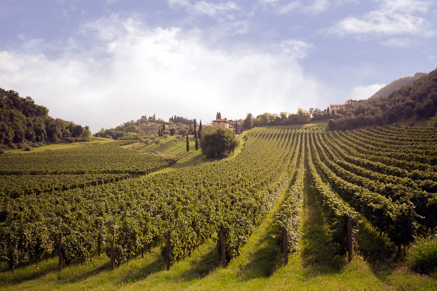 Vespiaiolona 2019 eventi in cemento magazine vicenza Vino veneto vini vicentini Gatte Vicentine cosa fare a vicenza news veneto donne vicenza Breganze Vino Vespaiolo asparagi eventi in veneto